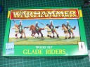 Wood Elf Glade Riders / Waldreiter