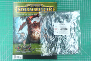 Warhammer Age of Sigmar Stormbringer Issue 14