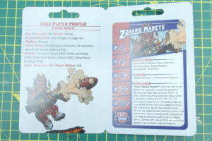 Blood Bowl - Chaos Dwarf Star Player Zzharg Madeye