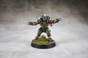 Blood Bowl - Averland Hawks 1