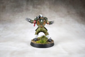 Blood Bowl - Averland Hawks 1