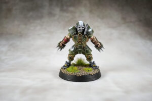 Blood Bowl - Averland Hawks 3