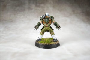 Blood Bowl - Averland Hawks 3