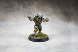 Blood Bowl - Averland Hawks 2