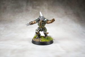 Blood Bowl - Averland Hawks Part 4