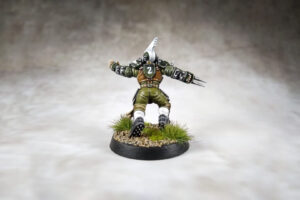 Blood Bowl - Averland Hawks Part 4